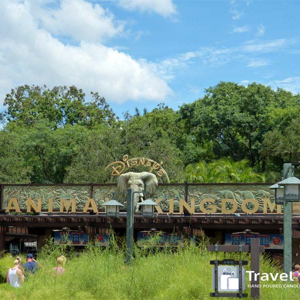 Disney Animal Kingdom