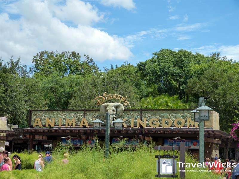 Disney Animal Kingdom